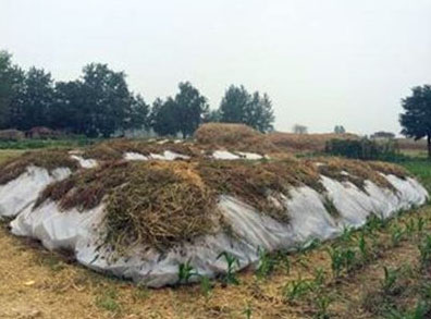 秸稈堆肥發酵的操作方法