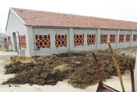 冬天豬糞使用堆肥發酵操作需要注意哪些？