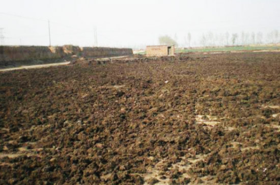 發酵一噸豬糞需要多少發酵劑？