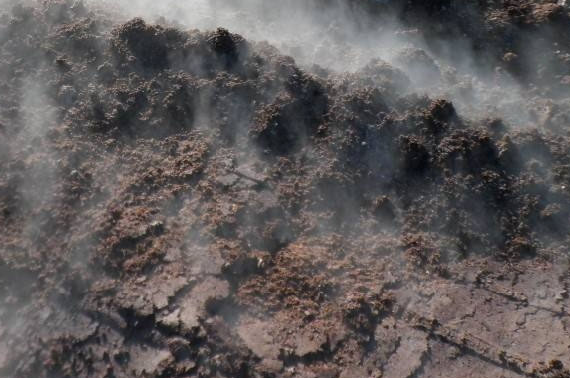 豬糞有機肥如何發酵？