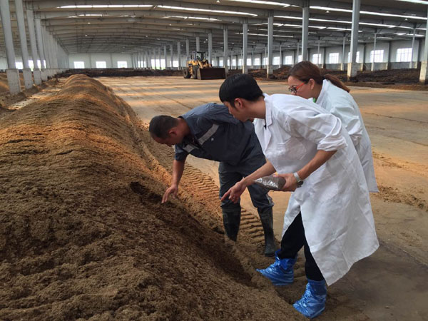 發酵豬糞有機肥的具體操作流程與好處