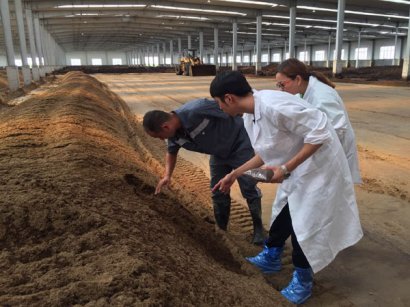 有機(jī)肥怎樣發(fā)酵才算正確