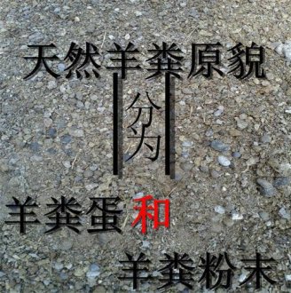 羊糞有機肥工藝流程介紹