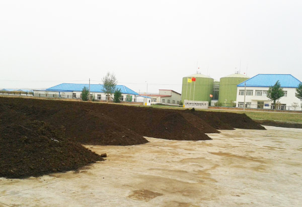 羊糞發酵處理制作有機肥的方法