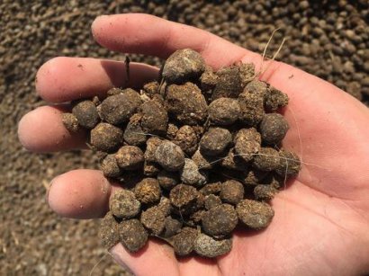 羊糞發(fā)酵方法介紹