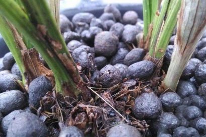 羊糞有機(jī)肥的優(yōu)勢體現(xiàn)在哪里？