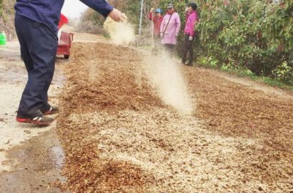 羊糞發酵需要什么發酵劑好？