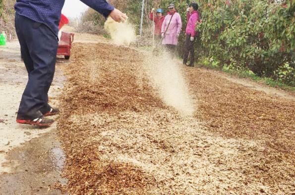 羊糞發(fā)酵需要什么發(fā)酵劑