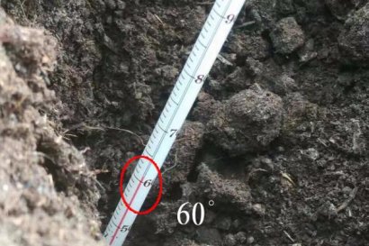 羊糞堆肥多長時間腐熟?