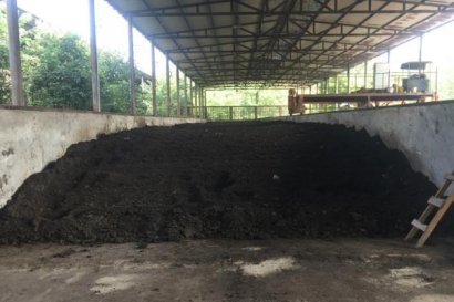 羊糞有機(jī)肥多少錢一噸？