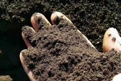 羊糞有機(jī)肥到底好不好？好在哪里？