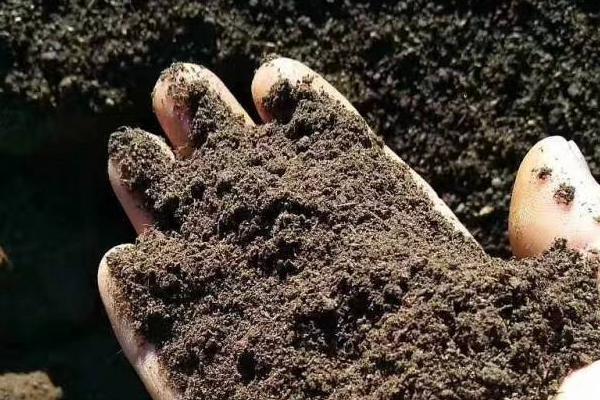 羊糞有機肥好在哪里