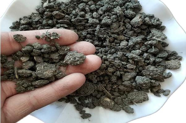 少量羊糞發酵方法