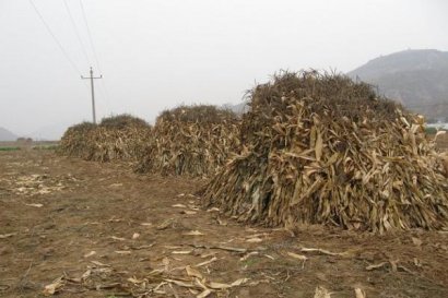 怎么用秸稈做成有機肥料？