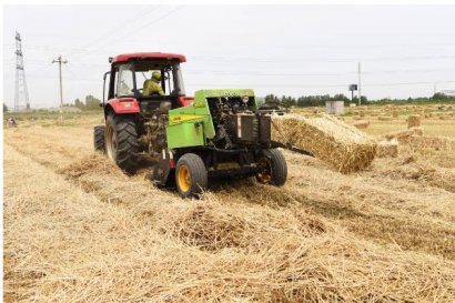 秸稈還田需要注意什么？