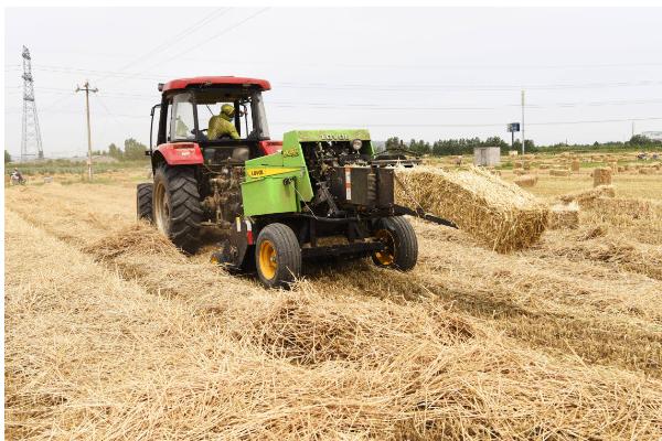 秸稈還田需要注意什么