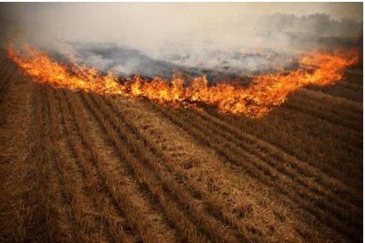 在禁止焚燒秸稈后，秸稈都怎么處理了？