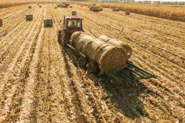 秸稈如何使用發酵菌劑制作有機肥？