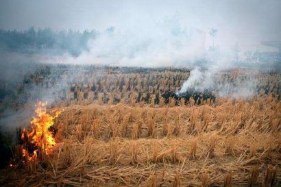 秸稈焚燒對(duì)環(huán)境的危害