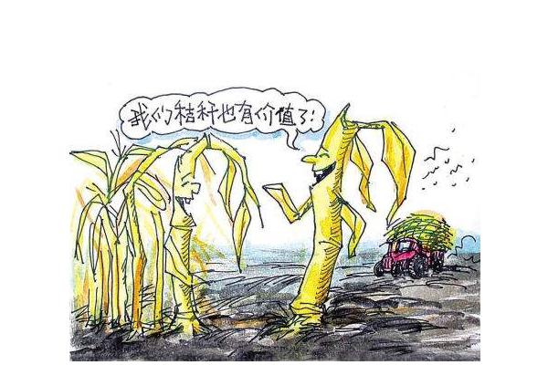 2019秸稈補貼如何申請