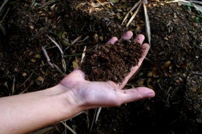 玉米秸稈怎么制作肥料？