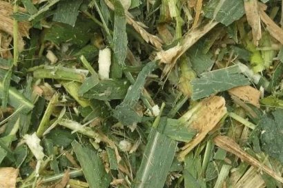 秸稈飼料喂養動物有哪些好處？