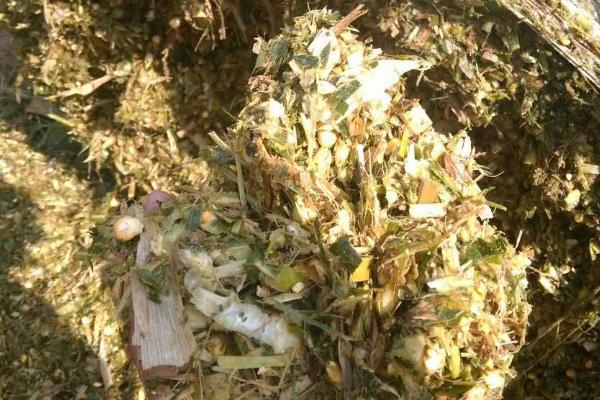 秸稈飼料加工技術(shù)