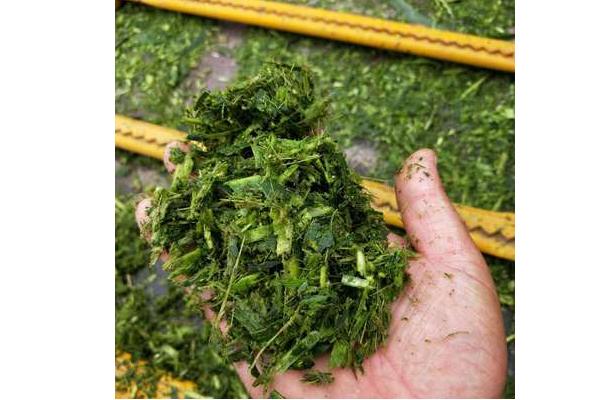 秸稈飼料有什么特點(diǎn)