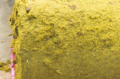 秸稈生物飼料有什么作用？