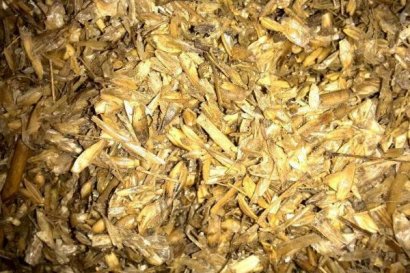 玉米秸稈微貯飼料怎么加工？