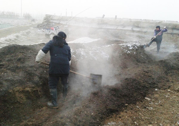 使用翻堆機(jī)堆肥發(fā)酵生產(chǎn)有機(jī)肥的方法