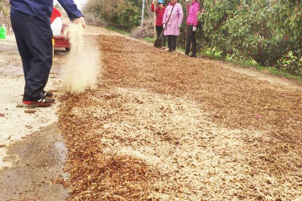 污泥發酵菌劑使用方法