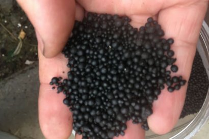 怎樣分辨真假發(fā)酵雞糞有機肥料