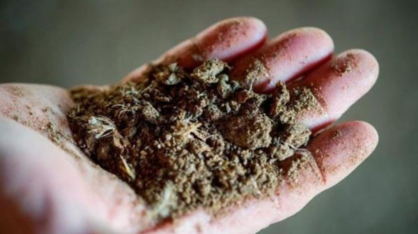 怎樣分辨真假發酵雞糞有機肥料