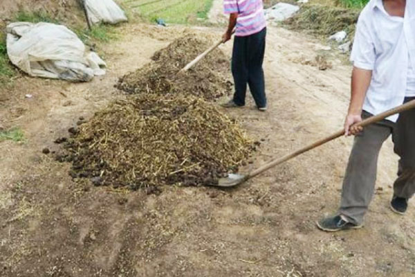 豬糞發酵有機肥的過程與方法