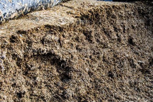 未來我國在豬糞利用方面的趨勢是什么？