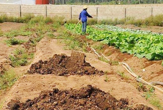 養豬場糞肥利用的方式分別適用于怎樣的豬場？