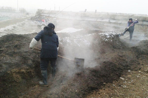 哪些因素會影響有機肥發酵？