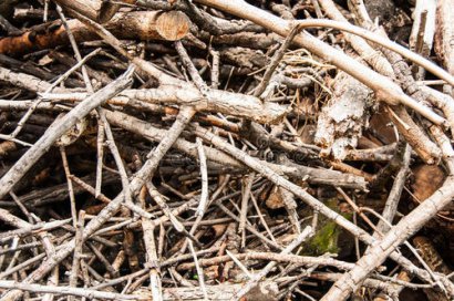 枯枝落葉發(fā)酵有機(jī)肥的方法