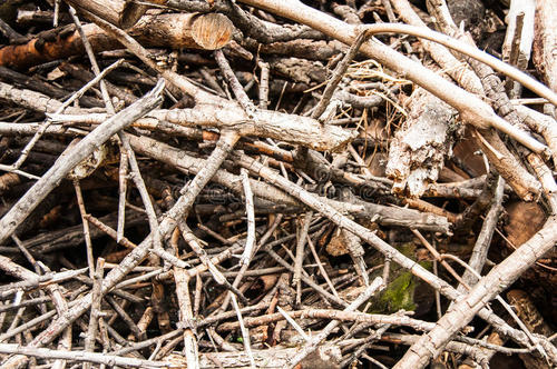 枯枝落葉發酵有機肥的方法