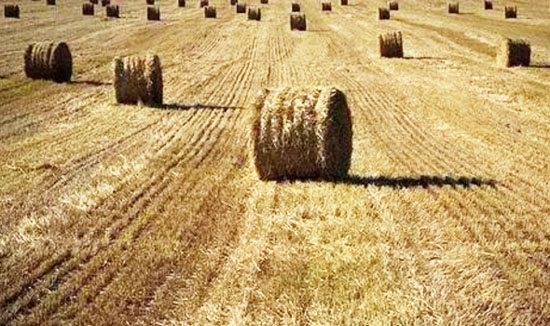 秸稈加工有機肥的關健技術