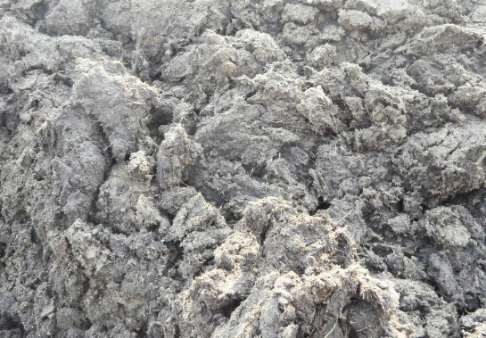 雞糞為什么要發酵，發酵過程是什么？