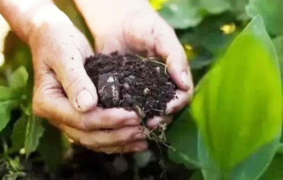 羊糞發(fā)酵成有機肥的生產(chǎn)工藝