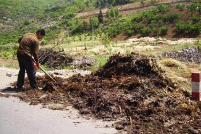淺談有機肥發酵技術