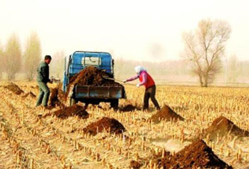 使用幾噸豬糞可以生產一噸豬糞有機肥？