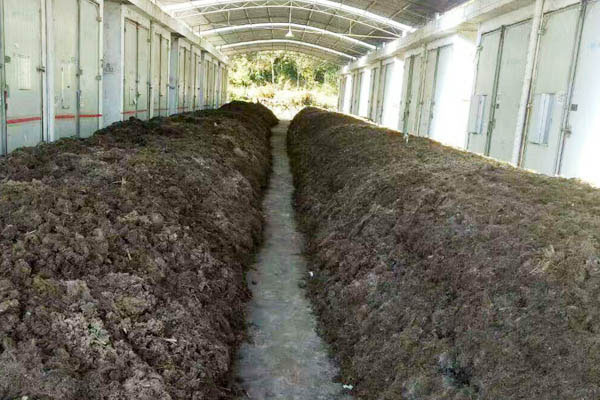 雞糞堆肥發(fā)酵有機肥料技術！
